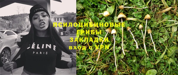 гидра Арсеньев