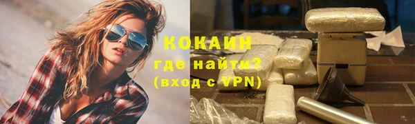 гидра Арсеньев