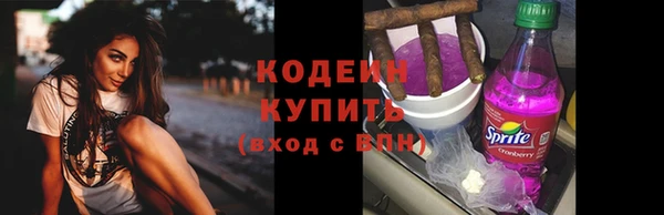 гидра Арсеньев