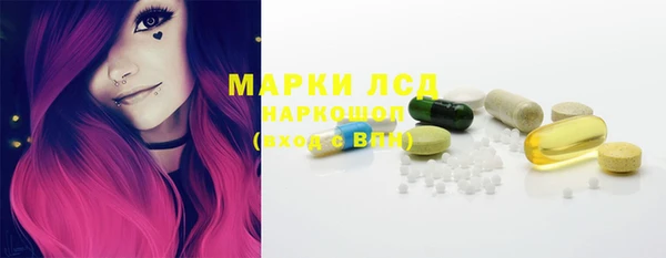PSILOCYBIN Аркадак