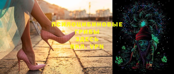 PSILOCYBIN Аркадак