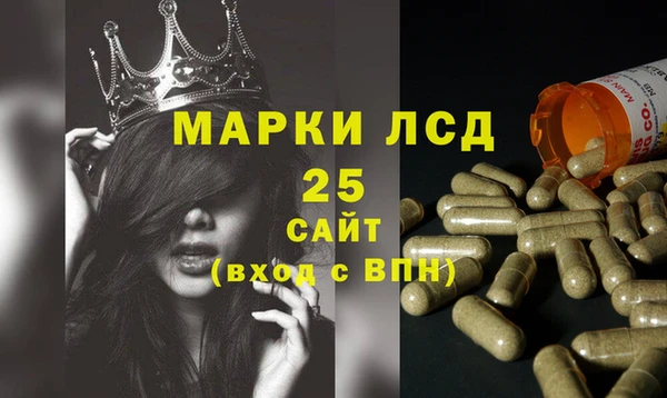 PSILOCYBIN Аркадак