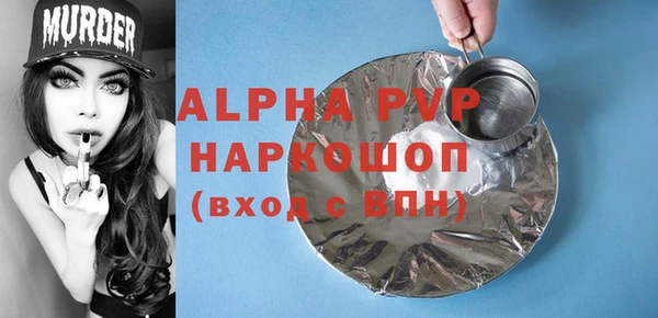 PSILOCYBIN Аркадак