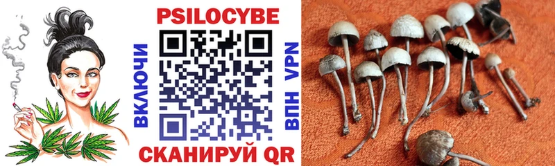 Галлюциногенные грибы MAGIC MUSHROOMS Всеволожск