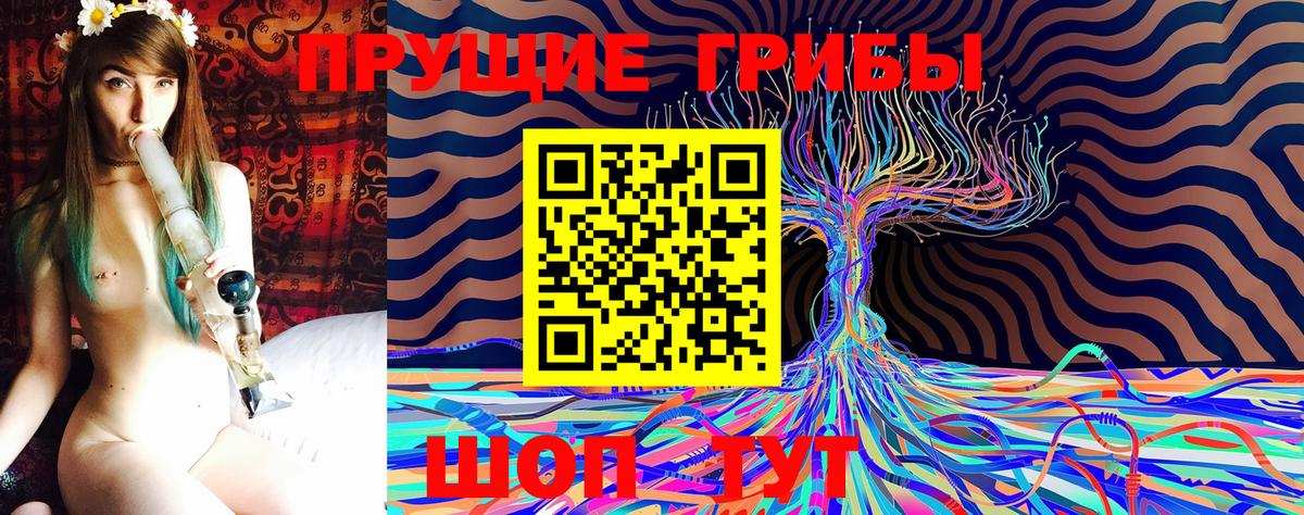 Галлюциногенные грибы мицелий  Вход с VPN  Галлюциногенные грибы Cubensis  Всеволожск 