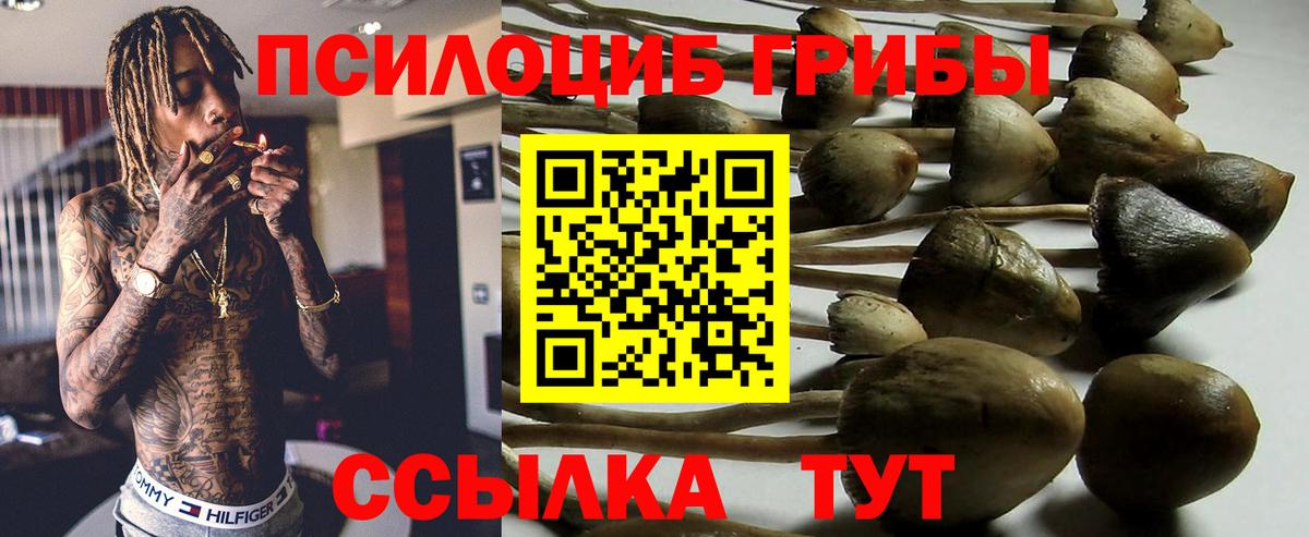Псилоцибиновые грибы ЛСД Всеволожск